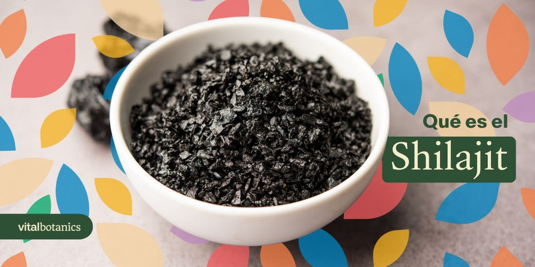 Para Qué Sirve el Shilajit