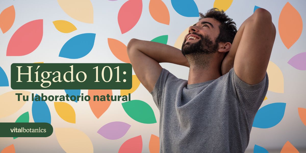 Como cuidar mi hígado - VitalBotanics