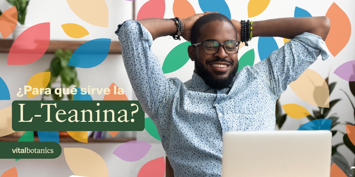 L-Teanina... ¿Para qué sirve? - VitalBotanics