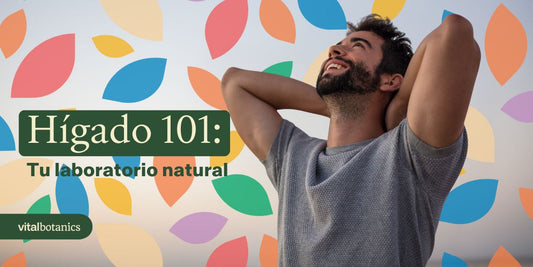 Como cuidar mi hígado