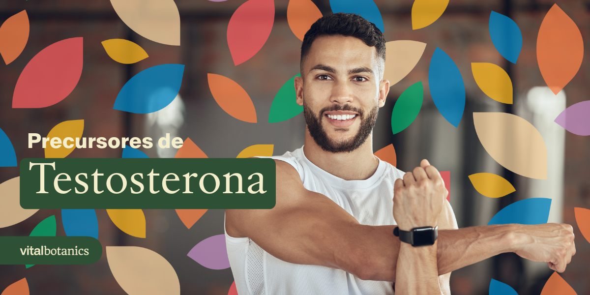 Mejores Precursores de Testosterona - VitalBotanics