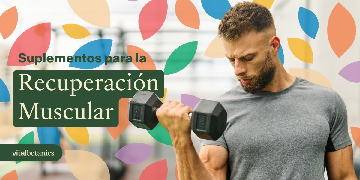 Suplementos para la recuperación muscular - VitalBotanics