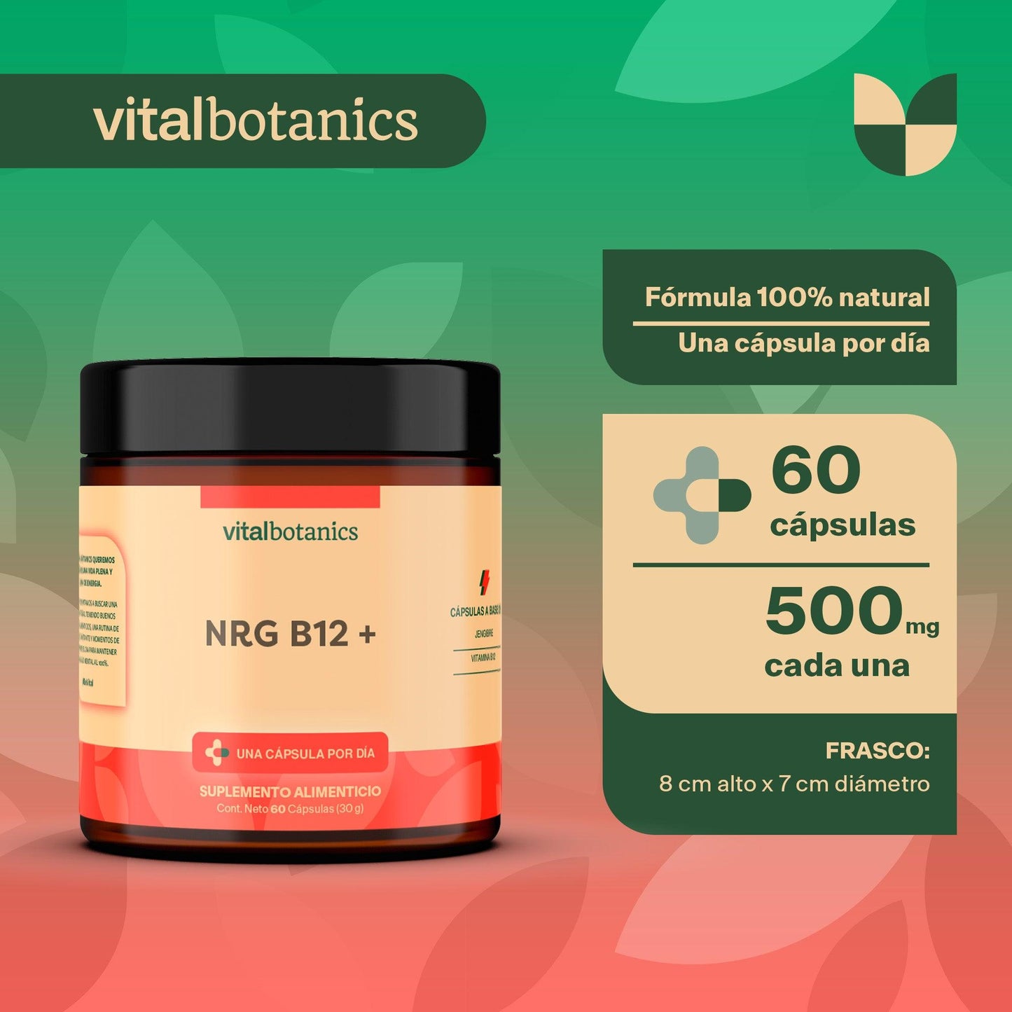 Energy Boost+ | Vitamina B12
