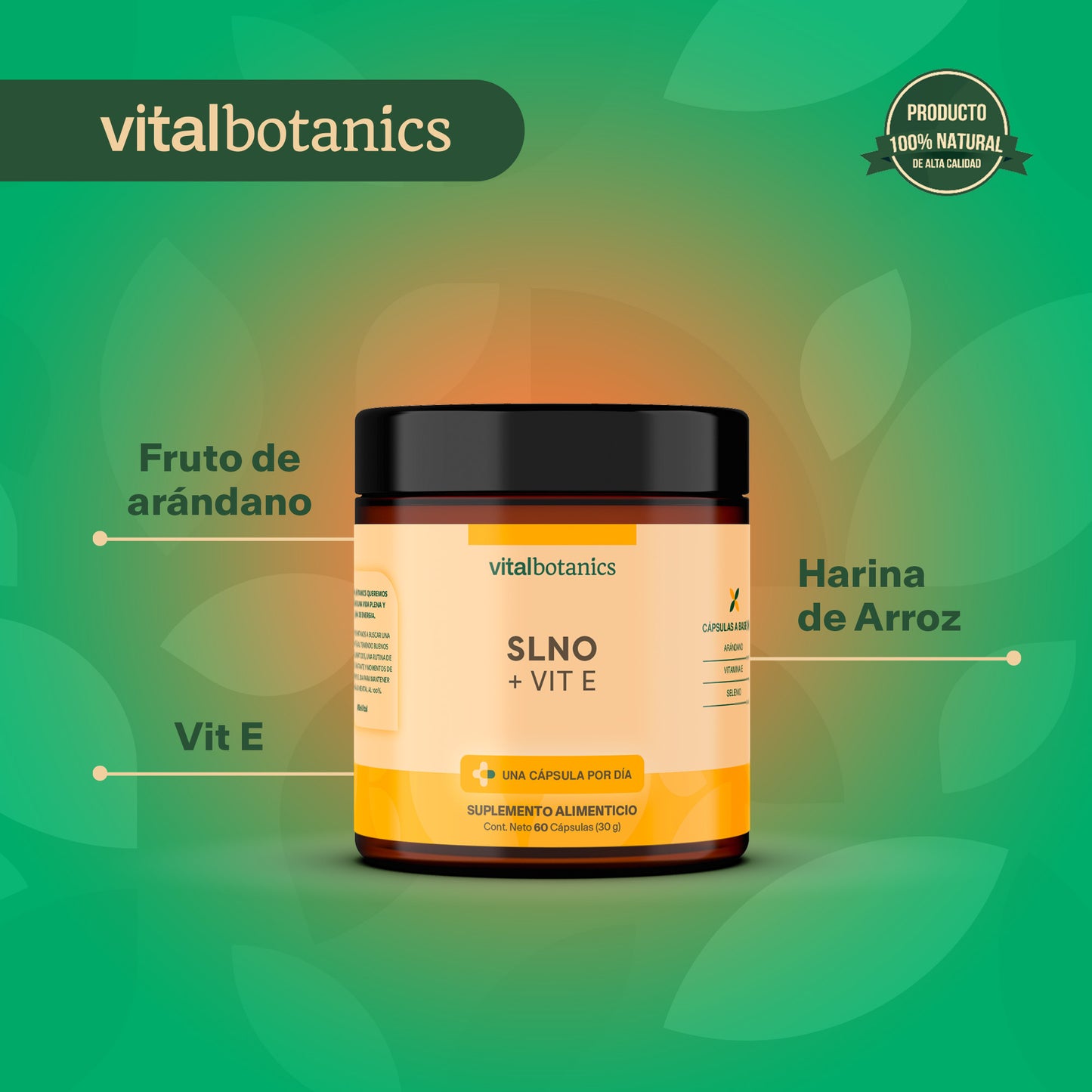 SLNO + VIT E | Vitamina E, Selenio y Arándano