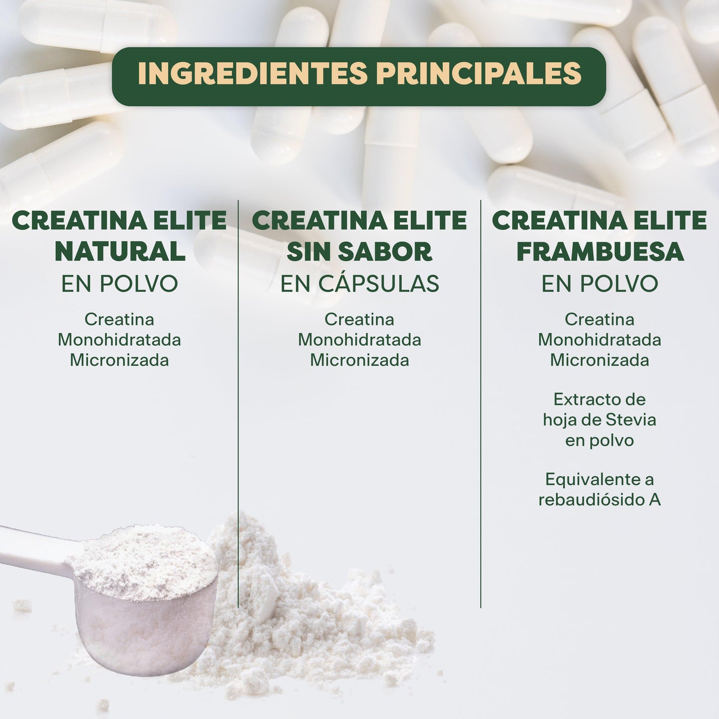 KIT CREATINAS ELITE | CREATINA MONOHIDRATADA ELITE POLVO SABOR NATURAL, CREATINA MONOHIDRATADA ELITE POLVO SABOR FRAMBUESA, CREATINA MONOHIDRATADA ELITE CÁPSULA | KIT CREATINAS ELITE