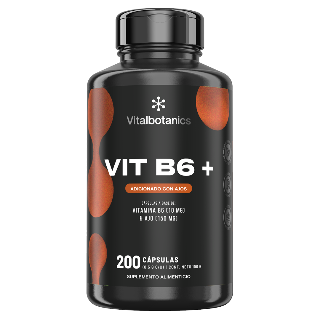 Vit B6+ | Vitamina B6 Piridoxina con Ajo - Neurotransmisores y Energía