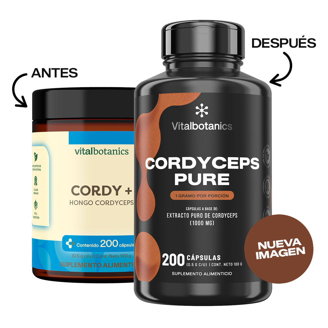 Cordyceps Pure | Hongo Adaptógeno en Cápsulas 500mg