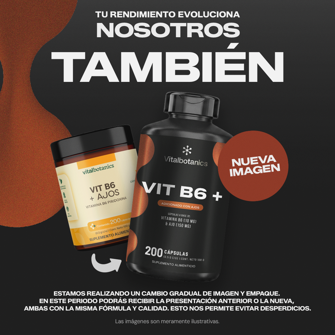 Vit B6+ | Vitamina B6 Piridoxina con Ajo - Neurotransmisores y Energía