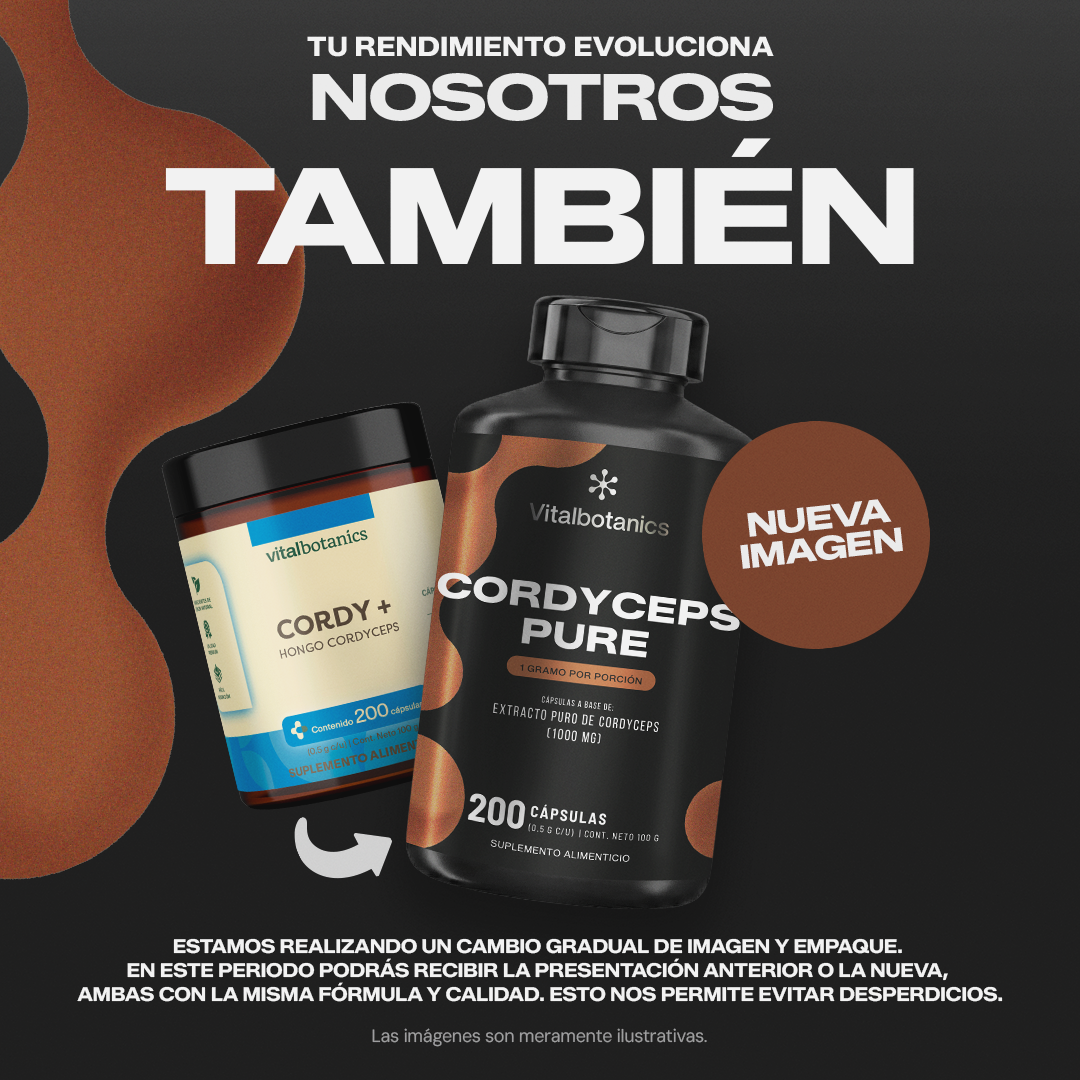 Cordyceps Pure | Extracto de Cordyceps - Energía Celular y Resistencia