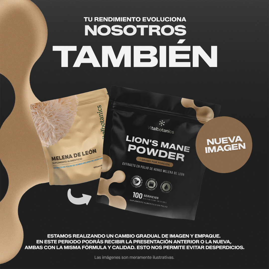 Lion's Mane Powder | Extracto Puro de Melena de León - 100 g en Polvo
