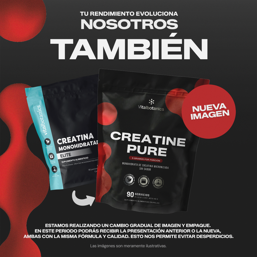 Creatine Pure | Creatina Monohidratada Micronizada en Polvo