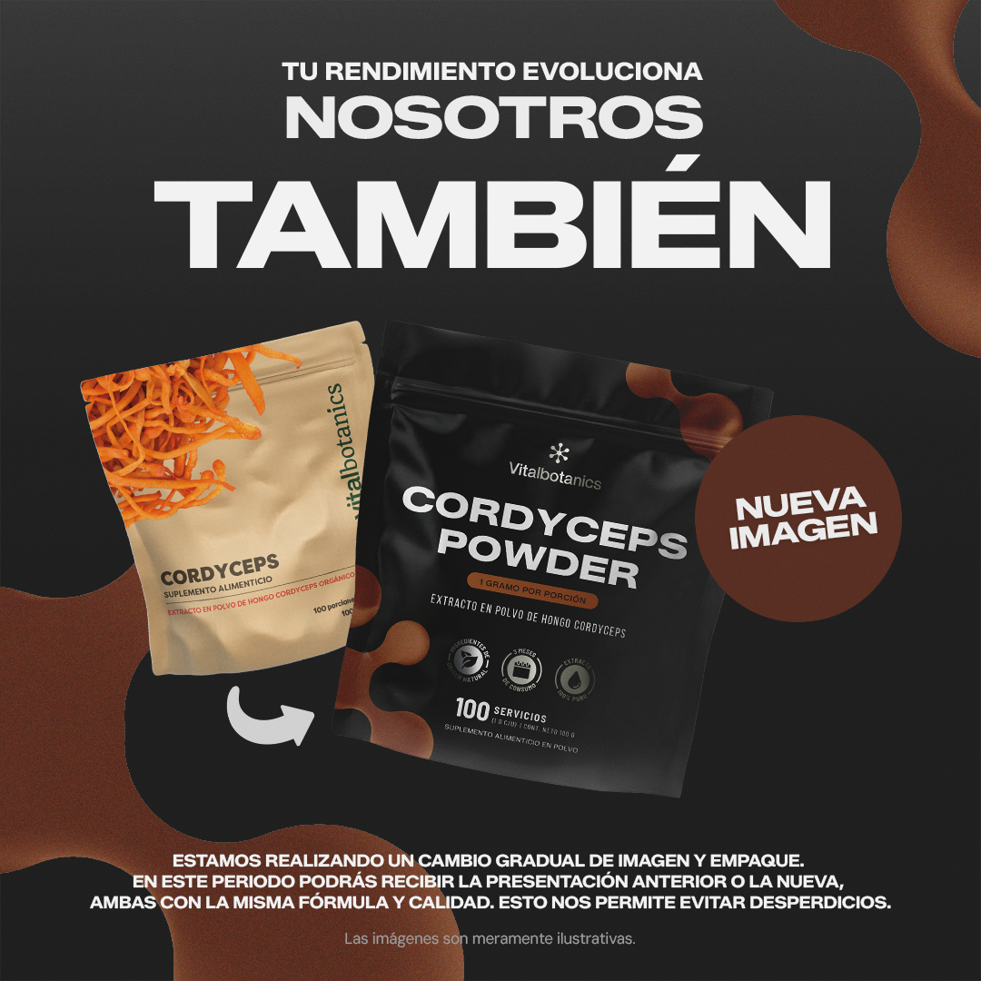 Cordyceps Powder | Extracto Puro de Cordyceps - 100 g en Polvo
