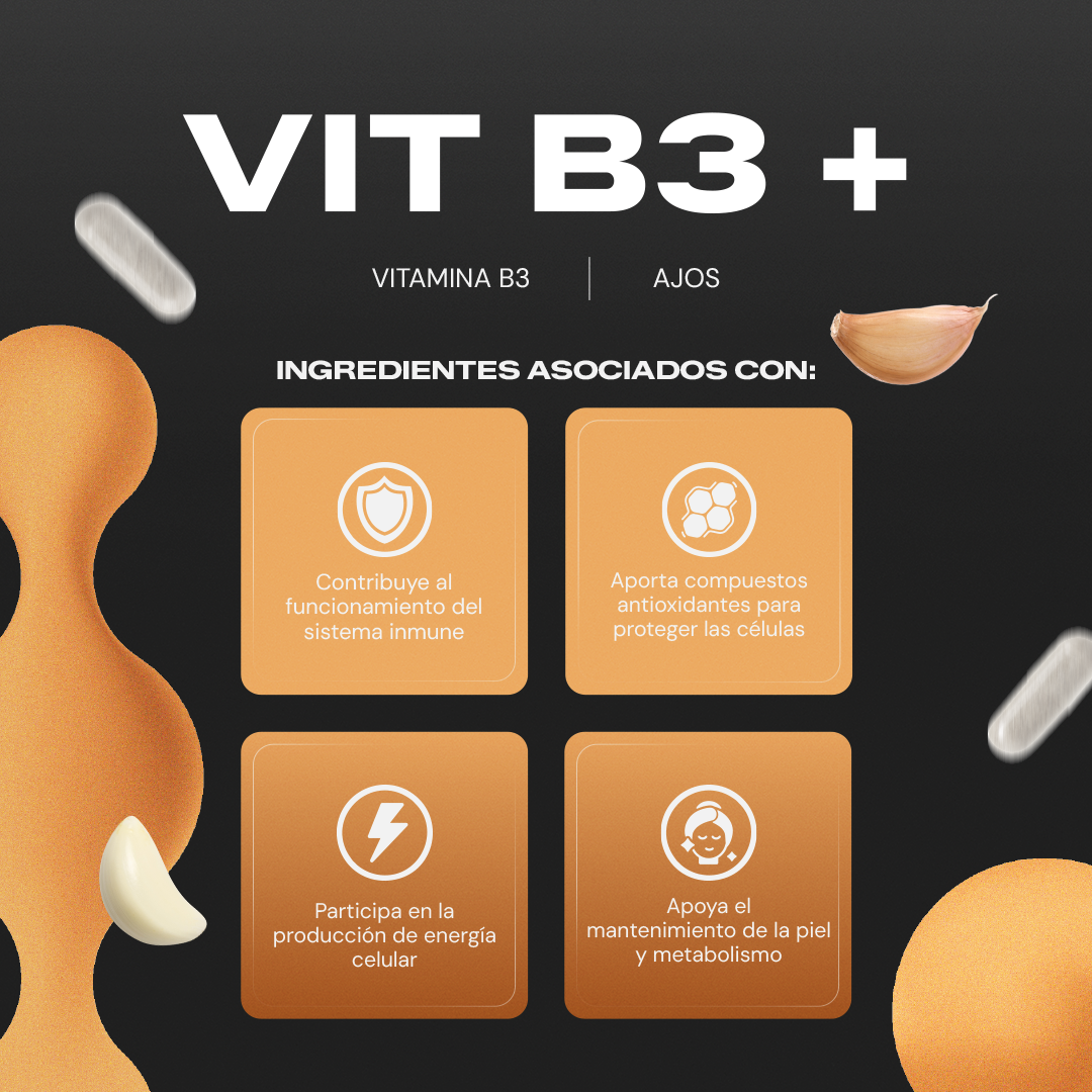 Vit B3+ | Vitamina B3 Niacina con Ajo