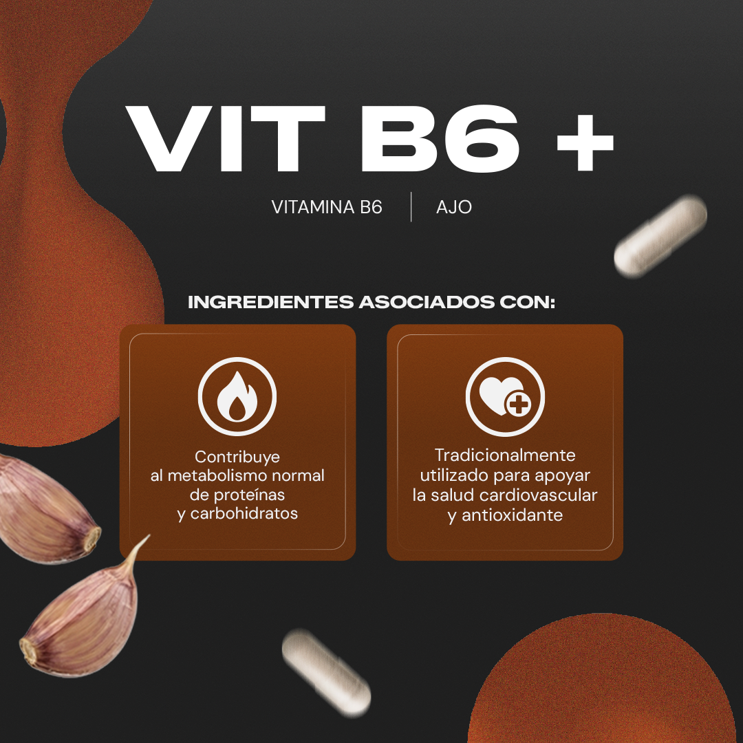 Vit B6+ | Vitamina B6 Piridoxina con Ajo - Neurotransmisores y Energía