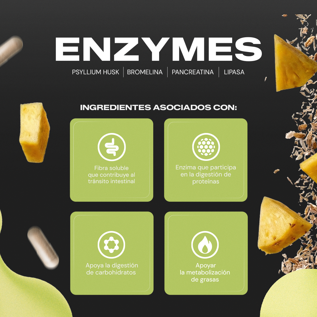 Enzymes | Bromelina con Papaína y Pancreatina