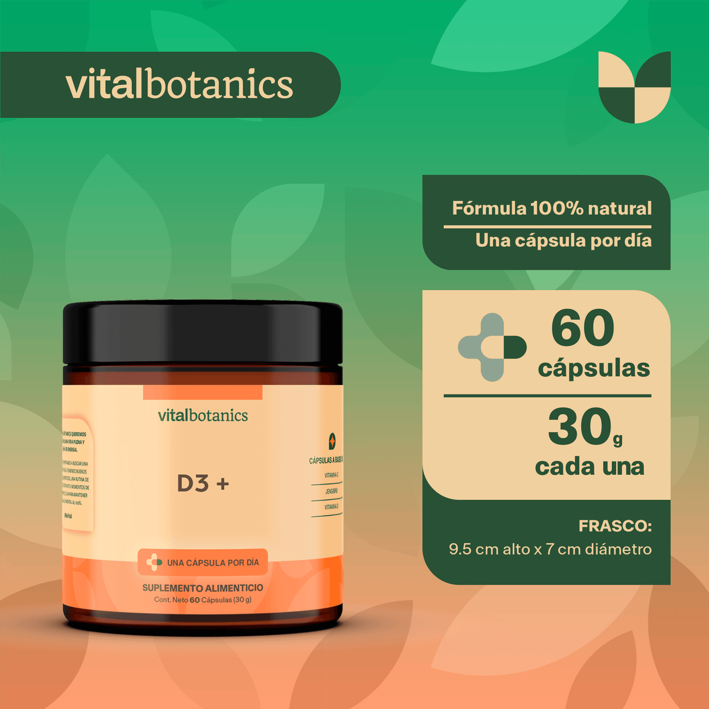 COMPLEJO VITAMINA C + D + JENGIBRE | Vitamina C, Vitamina D, Jengibre | D3 +