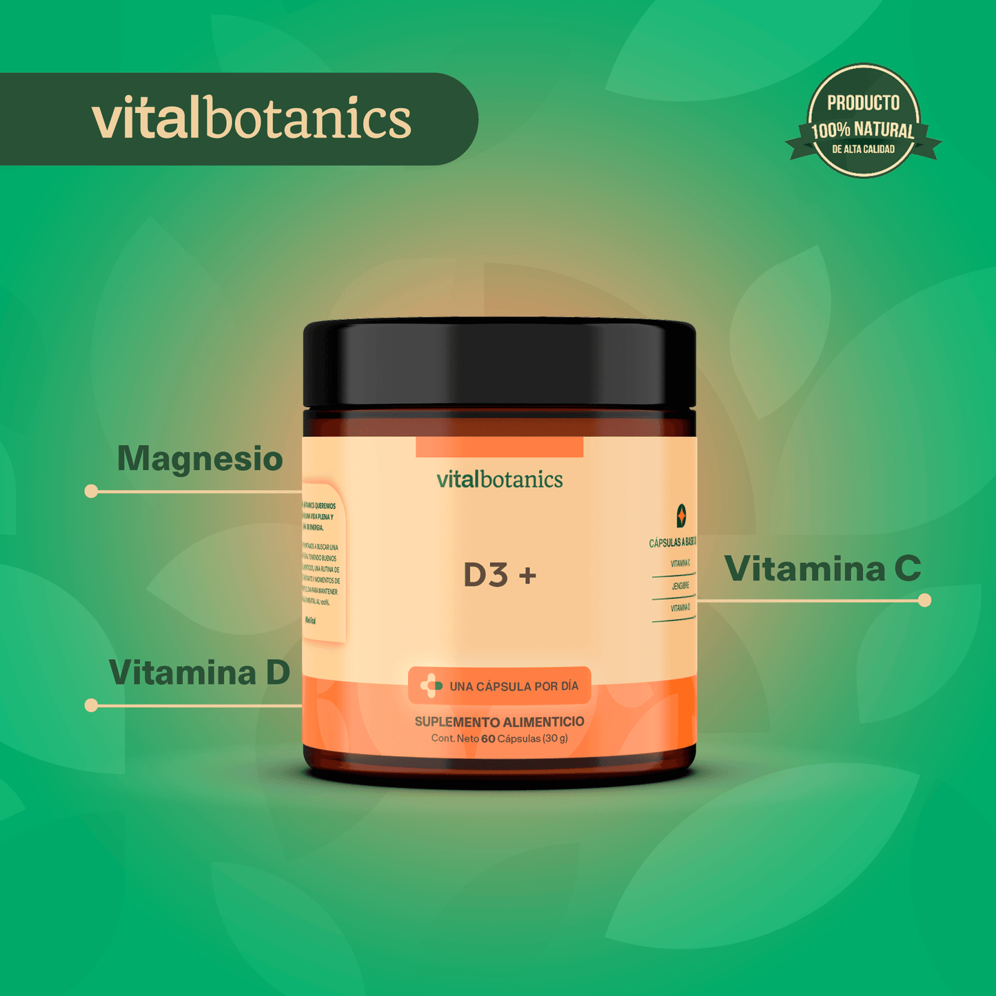 COMPLEJO VITAMINA C + D + JENGIBRE | Vitamina C, Vitamina D, Jengibre | D3 +