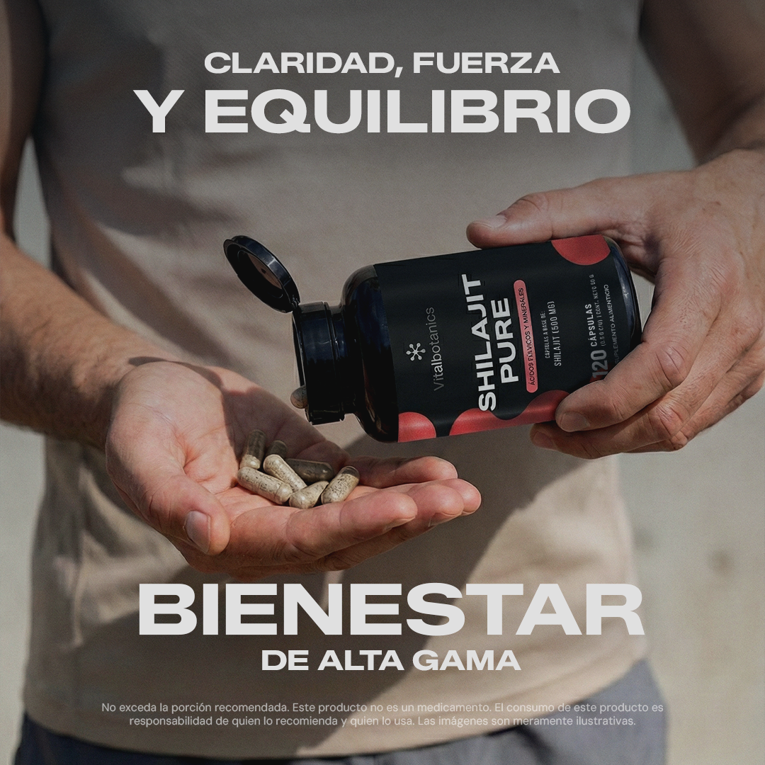 Ingredientes Shilajit Pure Vitalbotanics – fulvato y minerales traza de origen ancestral