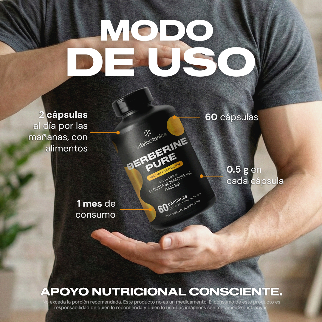 Modo de uso Berberine Pure Vitalbotanics – 2 cápsulas al día suministro 1 mes