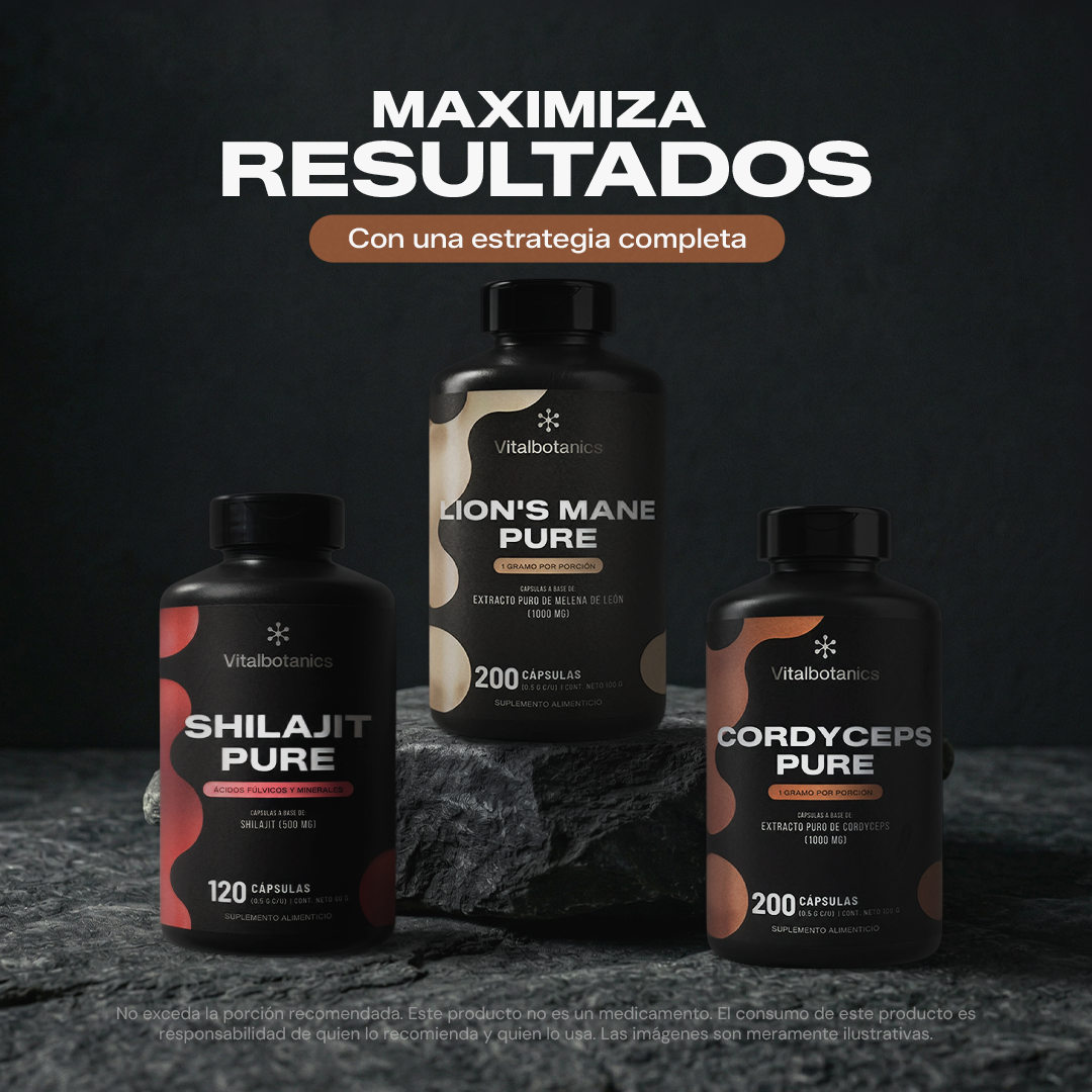 Contenido del Adaptogens Kit Vitalbotanics – 4 bolsas de extracto puro de hongos adaptógenos