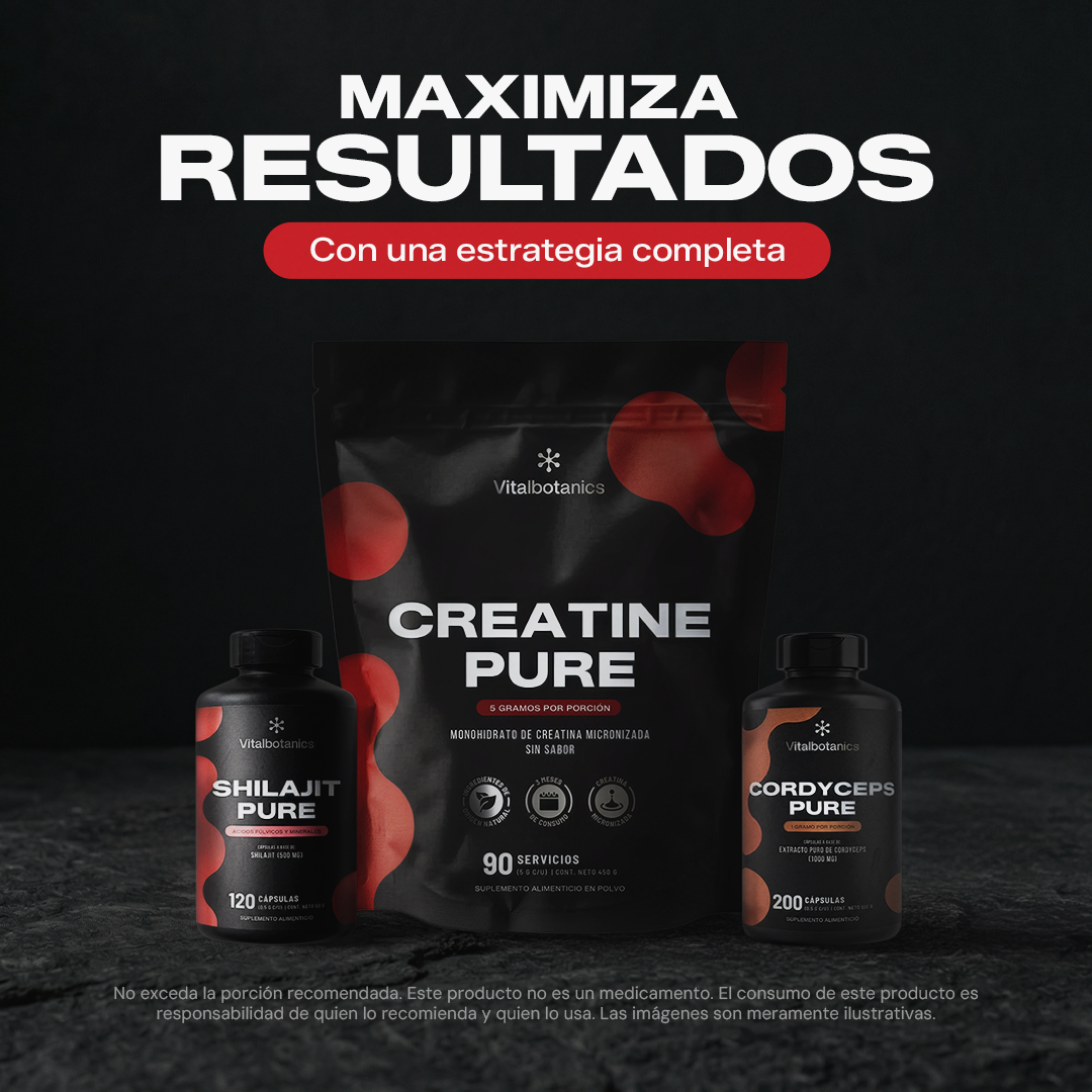 Contenido del Kit Energy & Vitality – tres frascos de suplementos Vitalbotanics