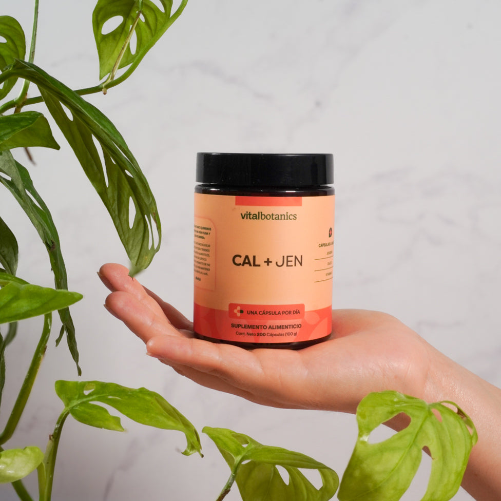 Calcio + Jengibre Vitalbotanics en mano – cápsulas de calcio con jengibre para huesos