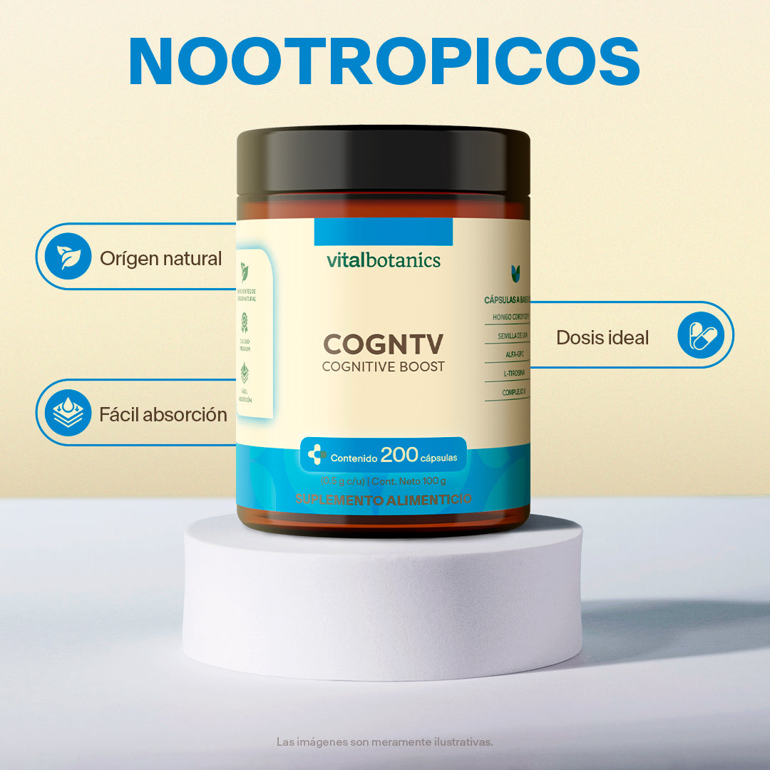 Nootropicos En Cápsulas