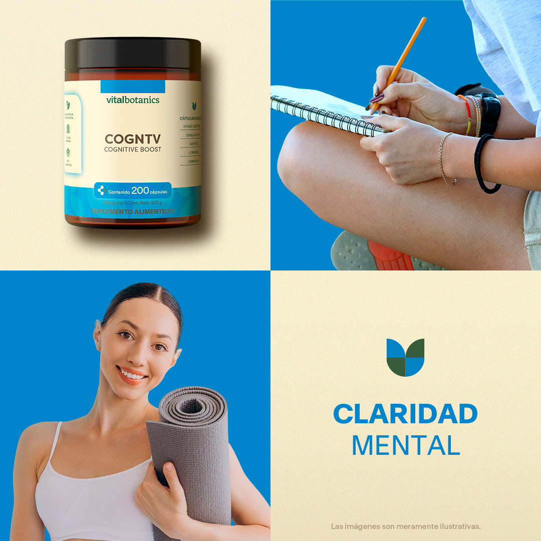 Nootropicos En Cápsulas