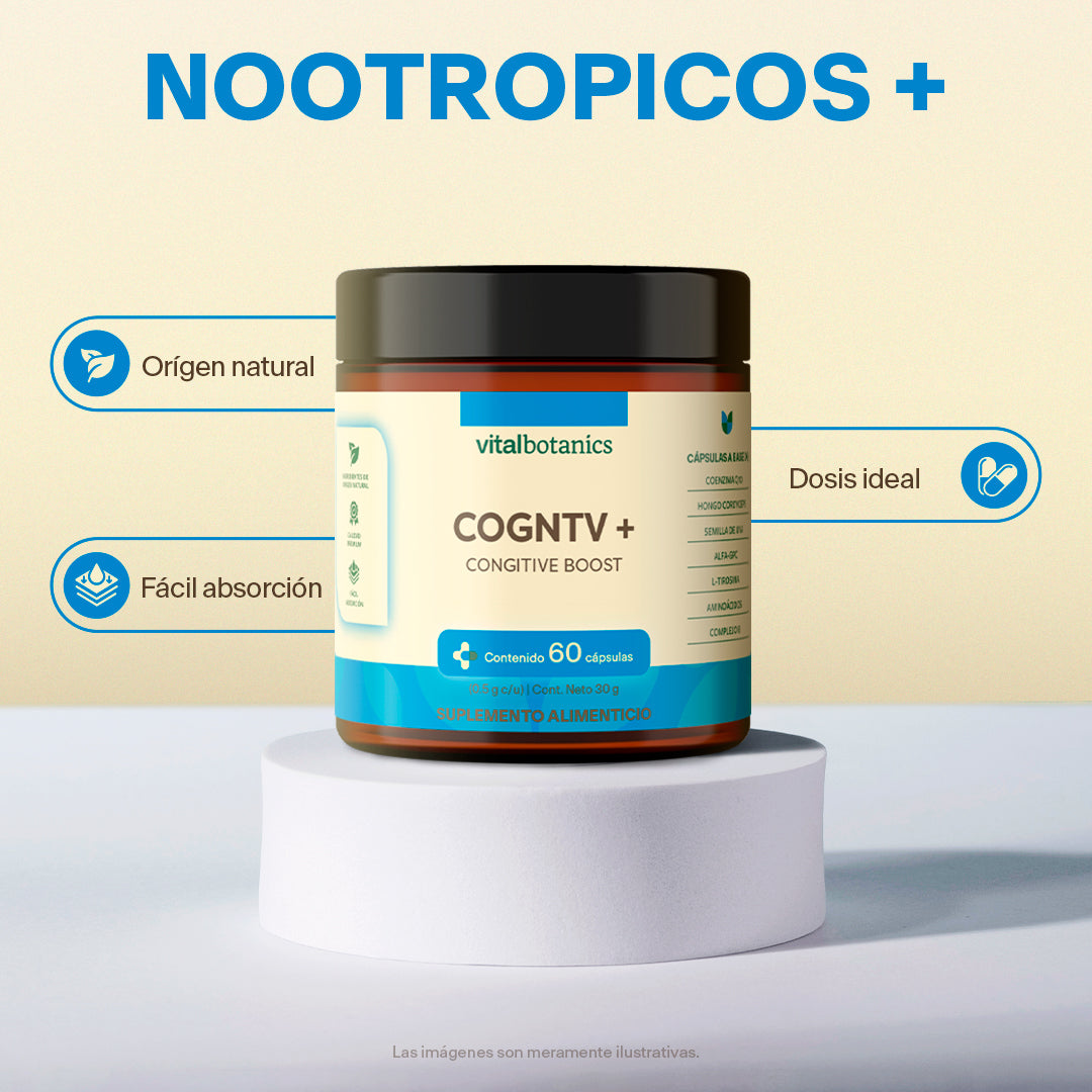 Cognitive Boost+ | Nootropicos plus (60 cápsulas) - VitalBotanics