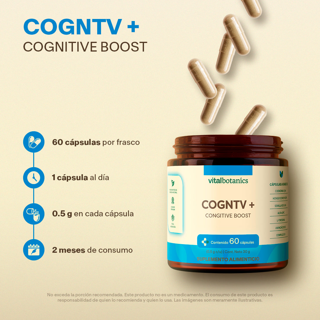 Cognitive Boost+ | Nootropicos plus (60 cápsulas) - VitalBotanics
