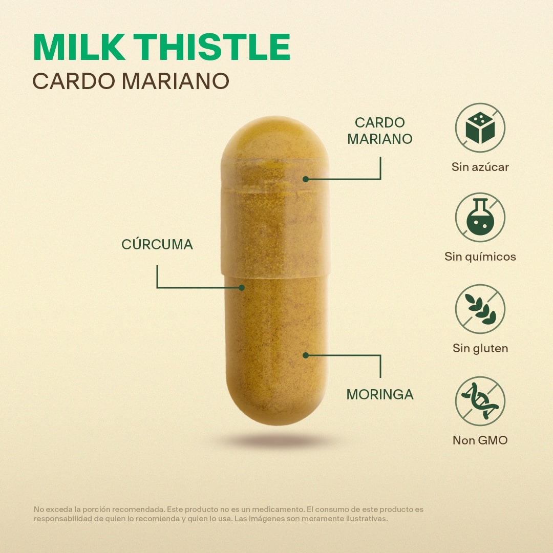 Milk Thistle, Cardo Mariano en Cápsulas