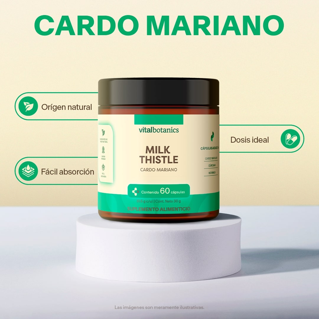 Milk Thistle, Cardo Mariano en Cápsulas