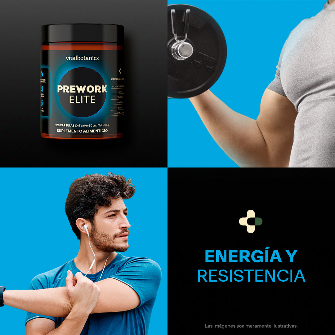 Ingredientes de Preworkout Elite – Guaraná, L-Carnitina, Té Verde, BCAA y Betabel