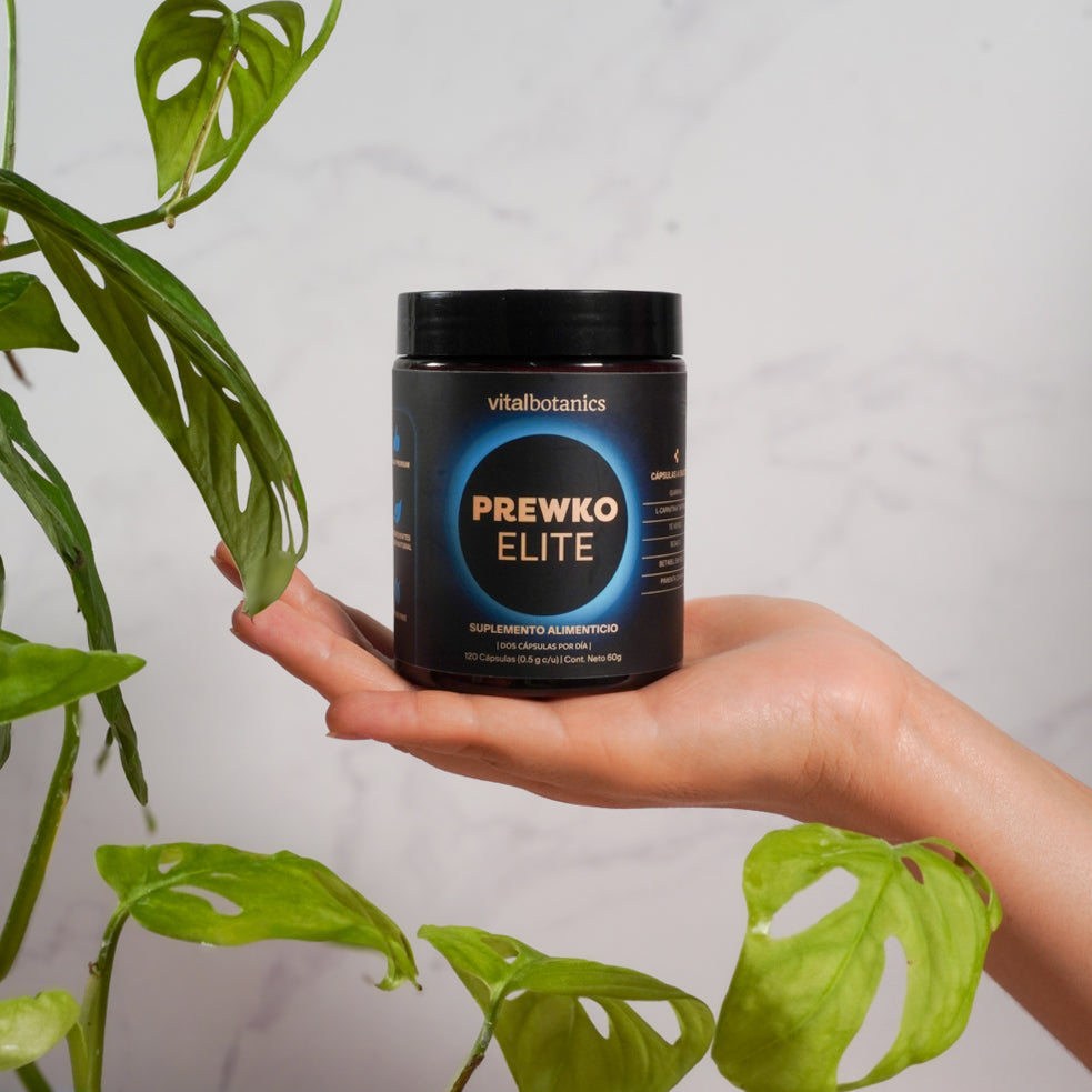 Preworkout Elite Vitalbotanics en mano – suplemento deportivo con guaraná y BCAA