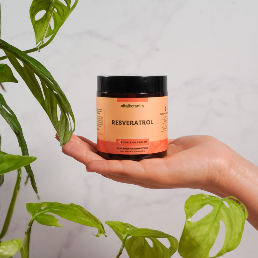 Resveratrol + Acai (60 cápsulas) - VitalBotanics