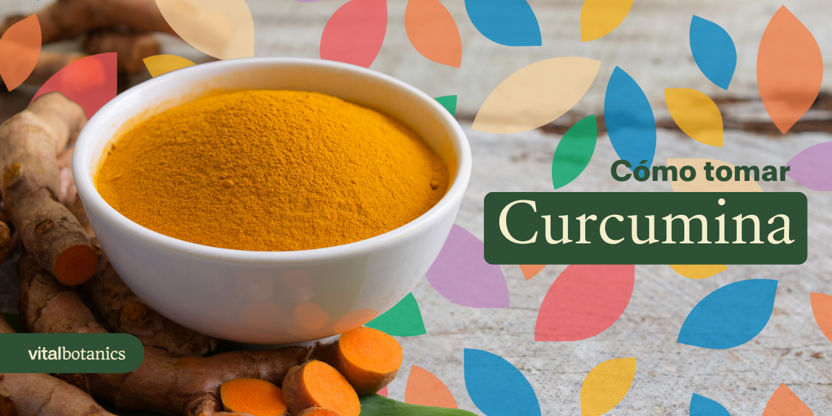 Cómo Tomar Curcumina - VitalBotanics