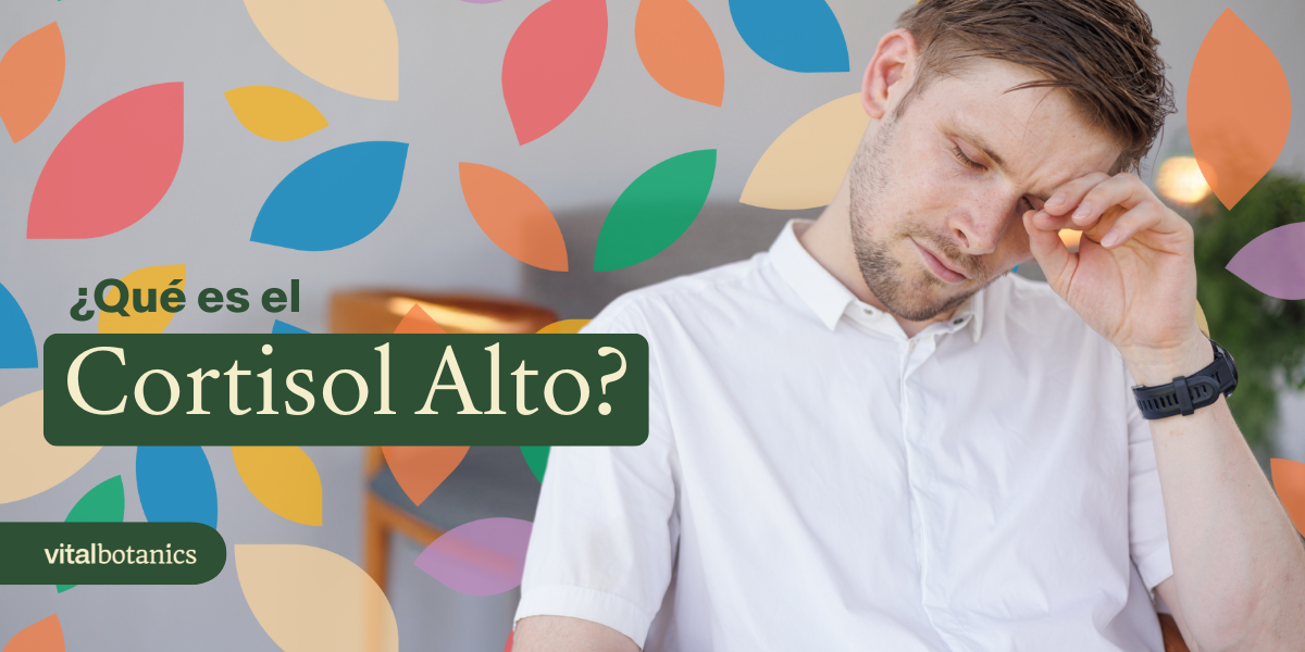 ¿Qué es el cortisol alto? - VitalBotanics