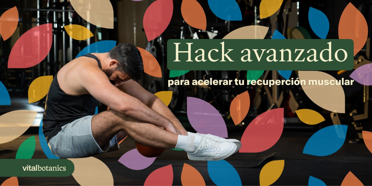 Como acelerar tu recuperación muscular - VitalBotanics
