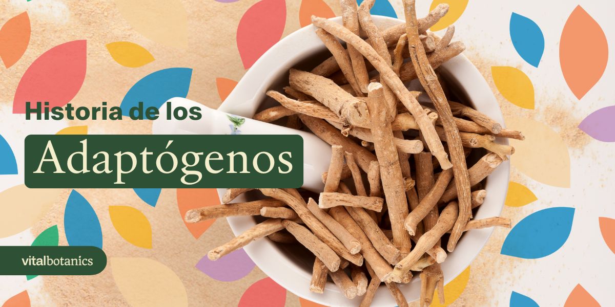La historia de los adaptógenos y sus poderes - VitalBotanics