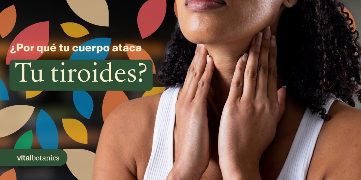 ¿Qué es la enfermedad de Hashimoto? - VitalBotanics