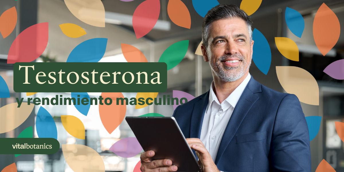 Función de la testosteona en el rendimiento masculino - VitalBotanics