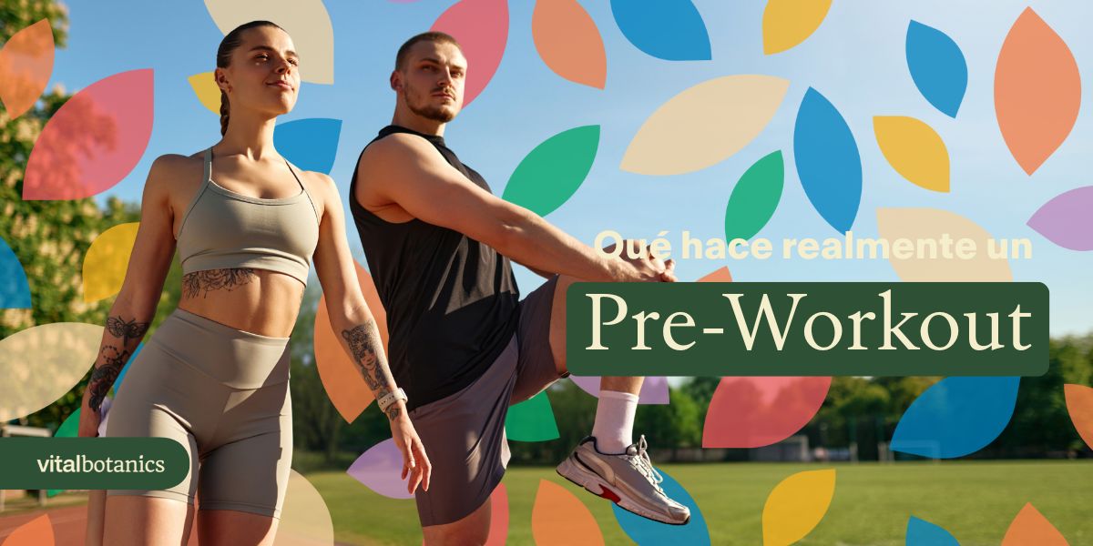 ¿Qué hace realmente un pre-workout? - VitalBotanics
