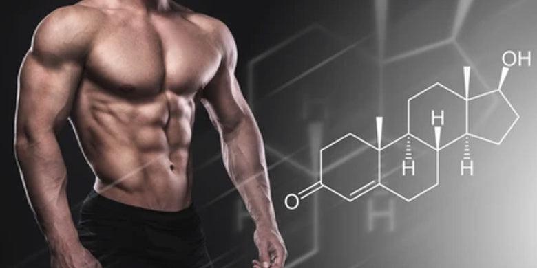 Cuatro Formas Naturales de Aumentar la Testosterona
