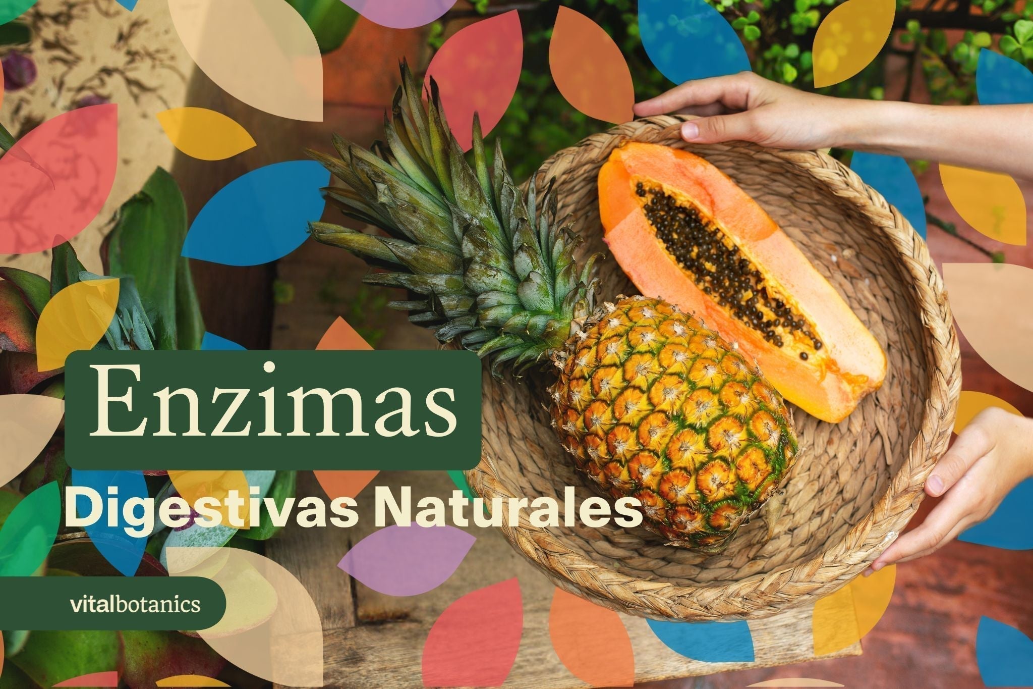 Enzimas Digestivas Naturales - VitalBotanics