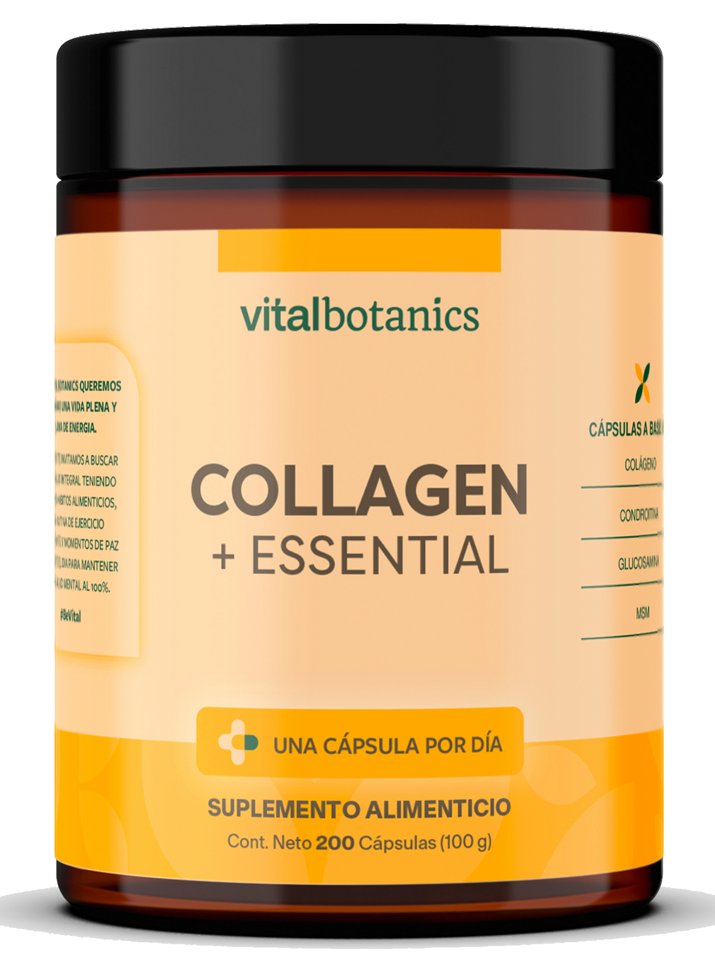 COLLAGEN + ESSENTIAL | Condroitina, Glucosamina, MSM y Colágeno