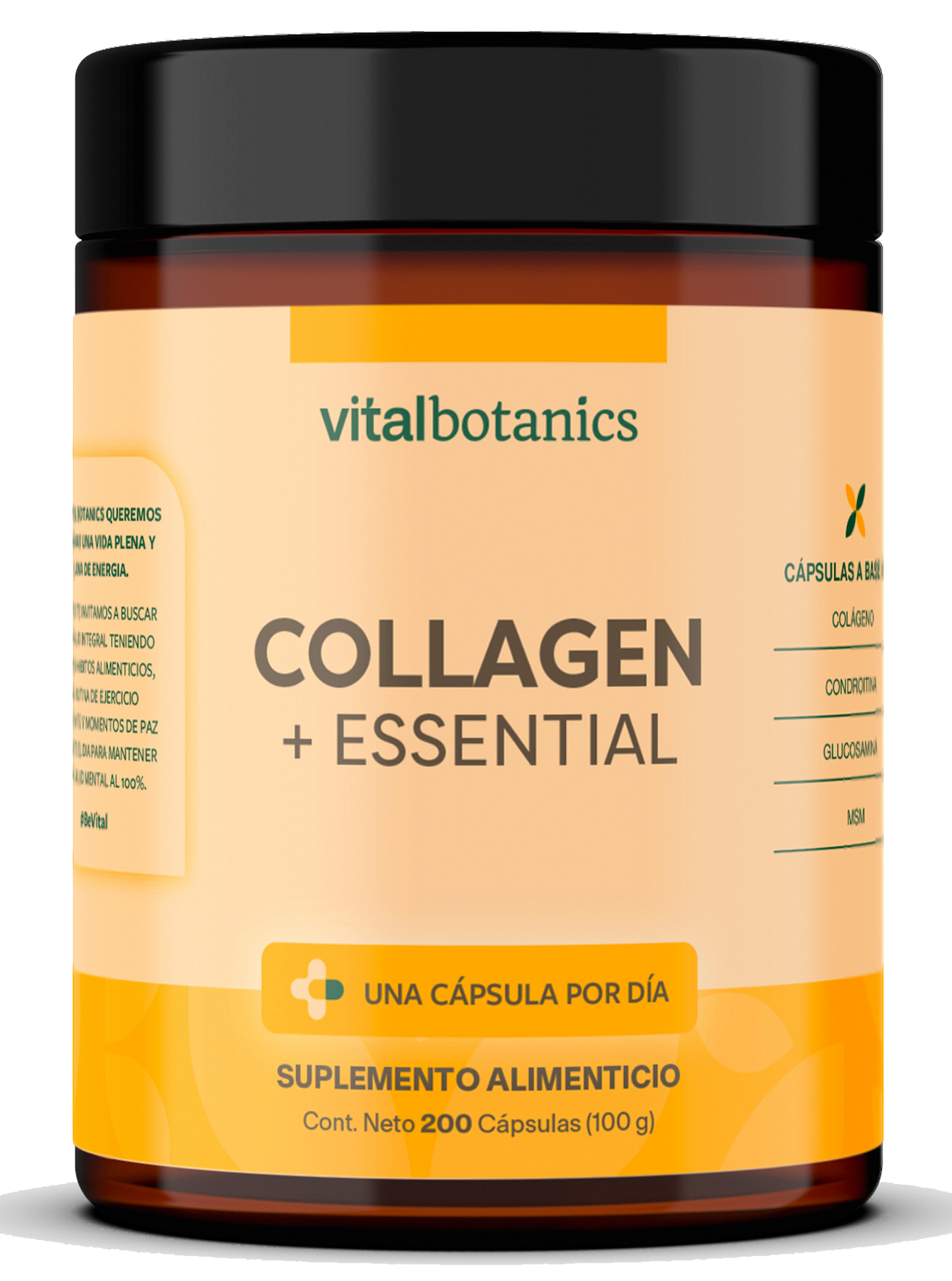 COLLAGEN + ESSENTIAL | Condroitina + Glucosamina + MSM + Colágeno