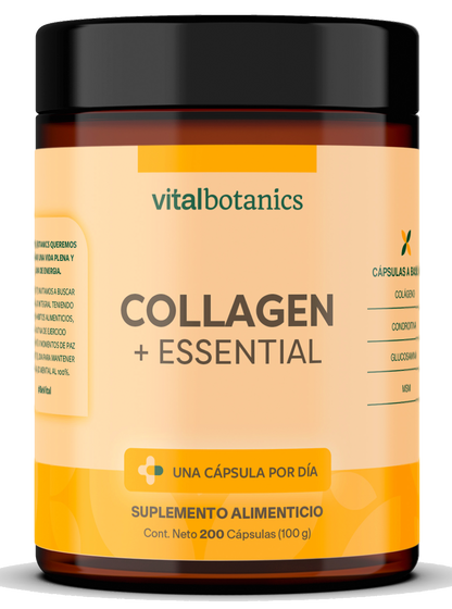 COLLAGEN + ESSENTIAL | Condroitina, Glucosamina, MSM y Colágeno