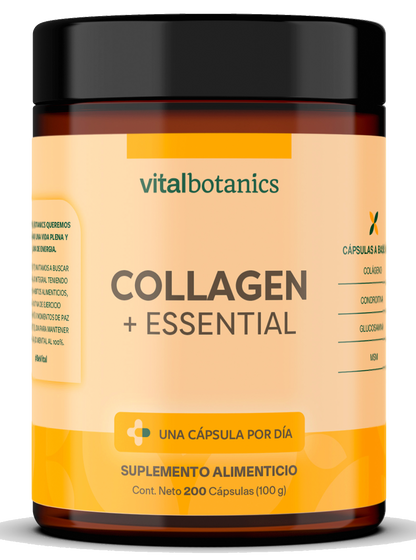 COLLAGEN + ESSENTIAL | Condroitina + Glucosamina + MSM + Colágeno