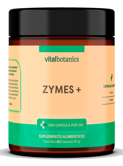 ZYMES + | Enzimas Digestivas con Papaya, mezcla de enzimas como Papaína, Bromelina, Pancreatina y Lipasa. Con 60 cápsulas de 500mg (2 meses). VitalBotanics. Suplementos Alimenticios. Digestive Enzymes