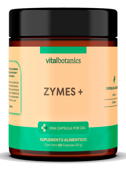 ENZIMA DIGESTIVAS | ZYMES +